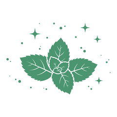Mint Green Leaves Vector Set, Fresh Herbal Botanical Foliage Collection, Organic Peppermint Plant Illustration, Natural Garden Leaf Elements, Eco Nature Design Isolated on White Background © classic shape