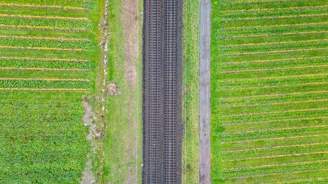 Aerial view of double railway tracks passing through lush green vineyards with parallel rows of vines in Crans VD, Vaud, Switzerland.