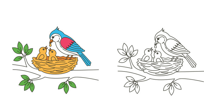 Cute mother bird feeding baby chicks in nest on tree branch vector illustration. Color and black white outline for kids coloring page.