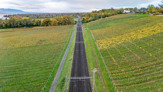 Aerial view of straight railway tracks passing through lush vineyards with a small church on a hill and Lake Geneva in the distance Crans VD, Vaud, Switzerland.