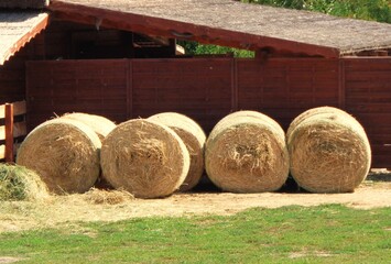 hay bales in the countryside © Tmea