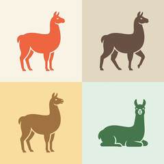 Obraz premium Colorful llama animal graphics icons.
