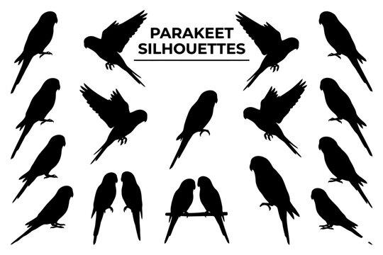Assorted parakeet silhouettes in various poses and positions.