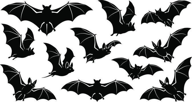 Bat silhouettes, flying nocturnal mammal icons, vampire bat wing shapes, cave wildlife elements, spooky halloween decoration graphics, nature animal symbols, night flight.