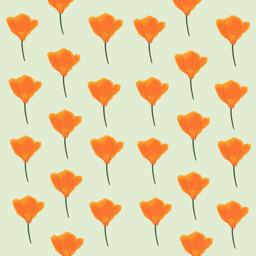 seamless pattern, orange lili, orange flowers