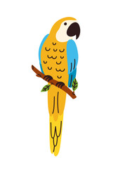 Obraz premium A tropical parrot with colorful feathers. Perfect for children's products and tropical-themed designs.