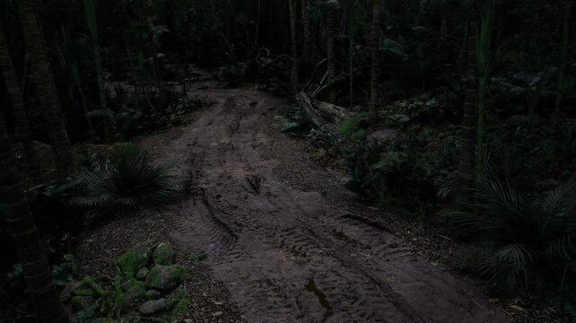Fresh rainsoaked trail and canopy shimmering with droplets, puddles reflecting deep green, earthy scent implied, vibrant poststorm renewal and moist textures