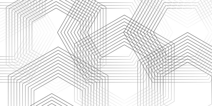 Geometric diagonal oblique vector curve gradient black and white graphic stripe line. Repeated fine diagonal lines Thin slash line stripes diagonal vector elegant background