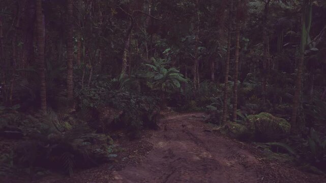 Dense jungle path leading into darkness, thick foliage and tall trees, humid atmosphere, ferns and vines crowding narrow trail, moody green tones.