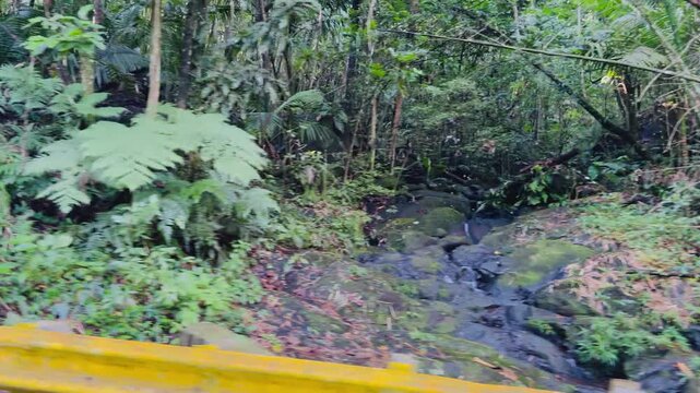 The El Yunque National Park in Puerto Rico is a beautiful rainforest with waterfalls and hiking trails.