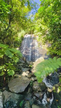 The El Yunque National Park in Puerto Rico is a beautiful rainforest with waterfalls and hiking trails.
