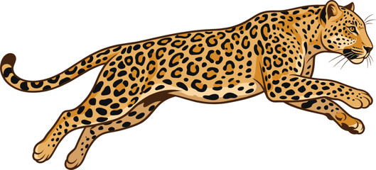 Running leopard flat vector illustration side view spotted wild big cat jumping in action isolated on white background © MdJherulIslam