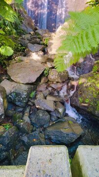 The El Yunque National Park in Puerto Rico is a beautiful rainforest with waterfalls and hiking trails.