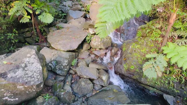 The El Yunque National Park in Puerto Rico is a beautiful rainforest with waterfalls and hiking trails.