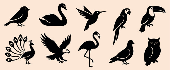Obraz premium Set of black bird silhouettes including swan eagle peacock owl flamingo and hummingbird for nature branding and educational materials
