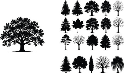 Collection of diverse tree silhouettes including deciduous coniferous willow and leaf shapes for forest botanical and nature design © MstMahurun