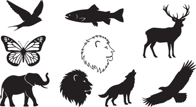 Wildlife Animal Silhouettes, Black Icons, Vector Set of 9 Animals, Nature Symbols