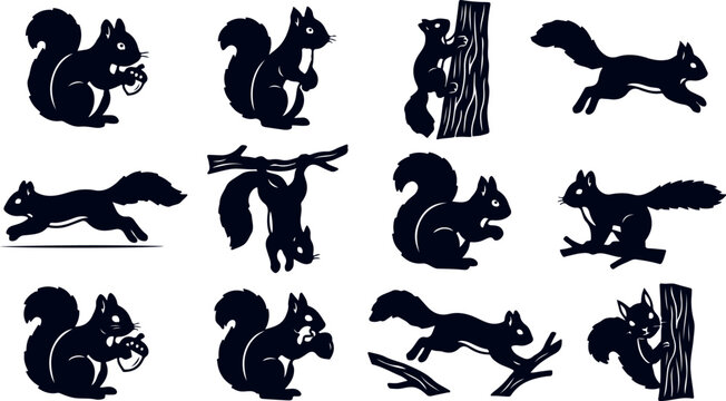 Collection of silhouette squirrel icons showing various actions and poses.