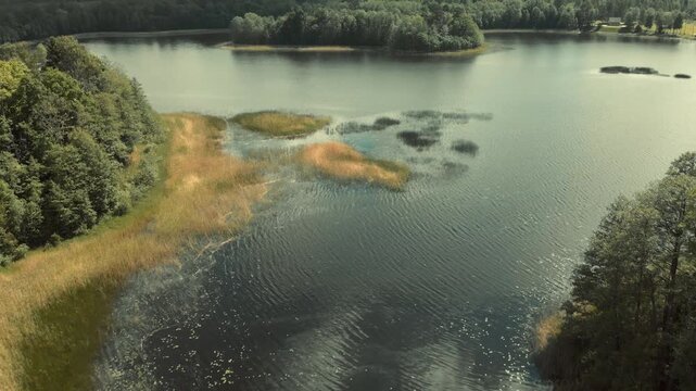 lake in the forest
