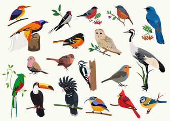 Obraz premium Diverse bird collection on branches, vibrant nature study