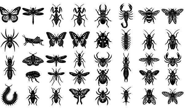 Gothic Insect Silhouette Vector Pack for Tattoo Horror Logo and T Shirt Designs