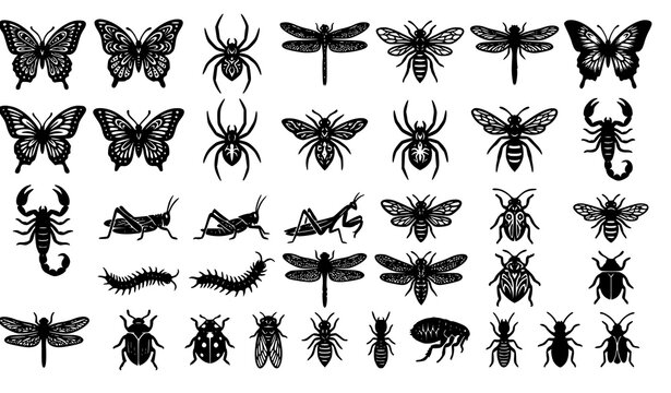 Bold Black Insect Silhouettes Collection with Gothic Tribal Bug Vector Designs