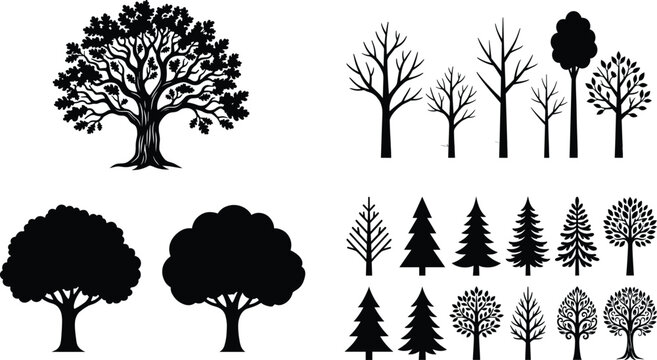 Large Collection of Tree Silhouettes Featuring Leafless Branches, Dense Rounded Foliage, Coniferous Shapes, and Stylized Deciduous Designs