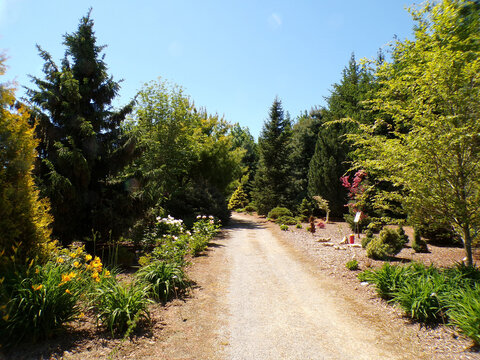 Summer landscape with trees and trail in the park