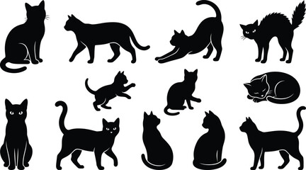 Black Cat Silhouettes © MD ASADUZZAMAN