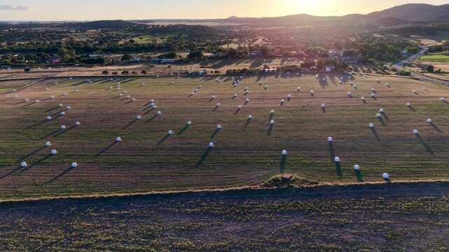 Atardecer en la agricultura 