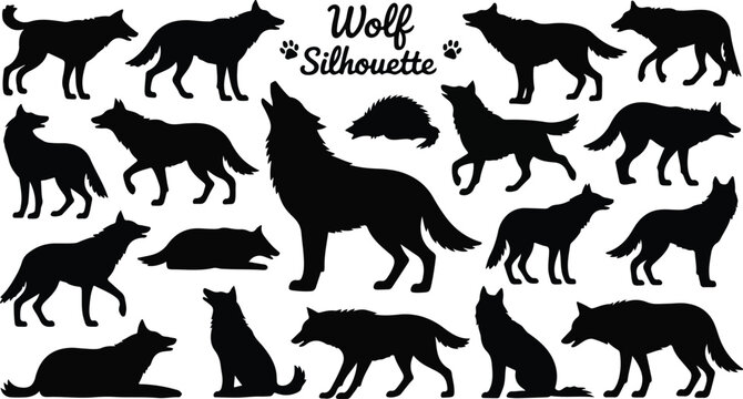 Collection of black wolf silhouette vector illustrations showing various wild animal poses isolated on white background for design use
