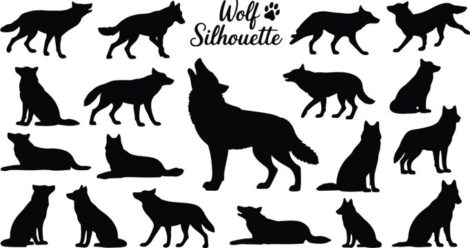 Collection of black wolf silhouette vector illustrations showing various wild animal poses isolated on white background for design use
