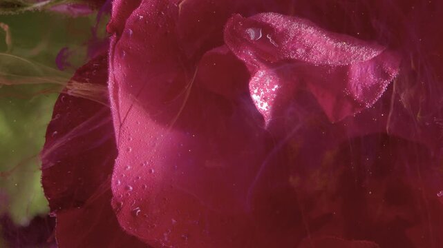 Velvet petal texture in macro, cosmetics concept, dewy surface with micron droplets, rich magenta tones, green leaf accents, sensual beauty editorial mood