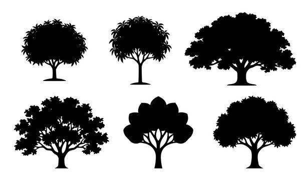 Various Mango Tree Silhouettes Vector Set for Botanical and Agricultural Design