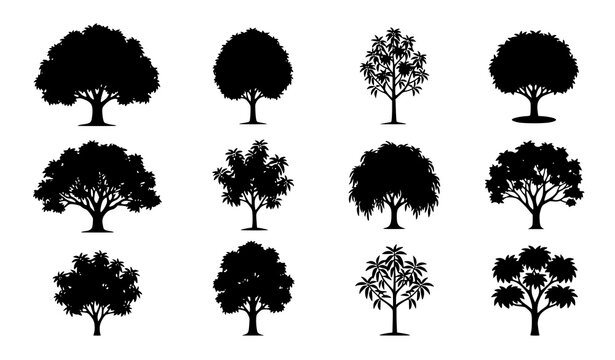 Mango Tree Silhouette Collection Vector Botanical Garden Icons Set