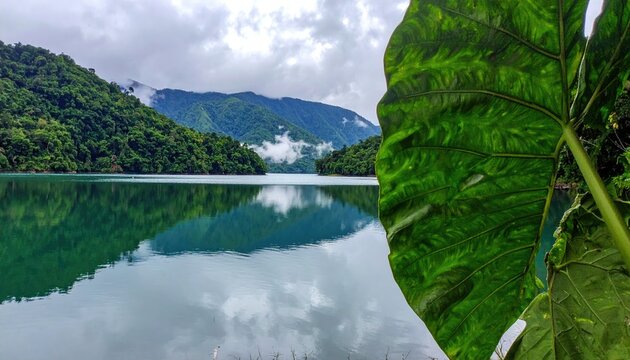 Lush green mountains surround calm blue lake, with large tropical leaf foreground