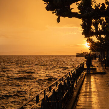 Coucher de soleil somptueux sur le lac de Constance en Suisse