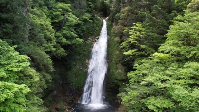 Aerial retreat shot of pristine waterfall surrounded by lush green forest in early summer nature