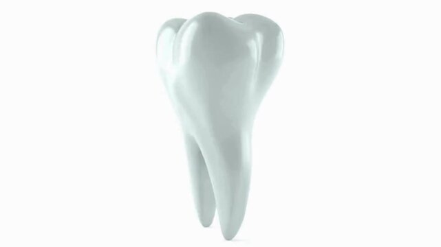 A highly detailed, realistic 3D render of a single human molar tooth, isolated on a white background, showcasing its structure and enamel