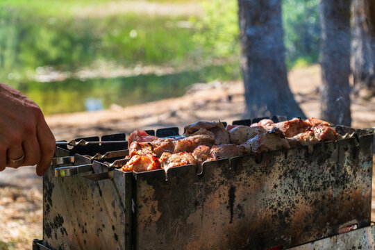 Grilling meat skewers on barbecue near lakeside recreation area