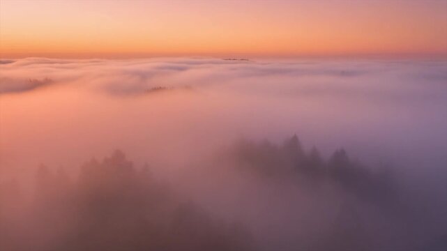 Soft gradient fog clouds blending peach and plum tones with fluid motion and peaceful ambience