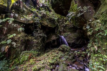 Cachoeira na Serra Catarinense. © Zé Paiva