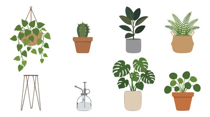Fototapeta premium Collection of decorative indoor potted houseplants and plant care tools.