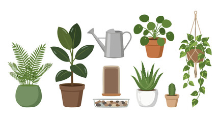 Fototapeta premium Collection of various potted houseplants and gardening equipment.