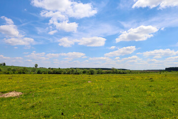 A green flowering meadow under a bright blue sky with fluffy white clouds creates an idyllic rural landscape. Spacious pastures with distant trees and fresh spring grass form a sense of peace, freedom © Олег Струс