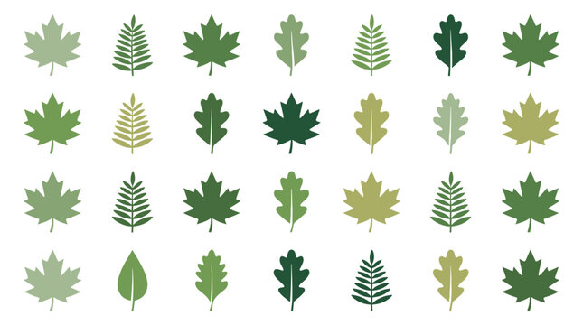 Large pattern grid of various green leaf icons including maple, oak and fern fronds isolated on white background.