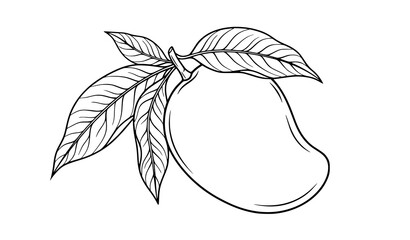 Black and White Mango Fruit with Leaves Vector Illustration © MstChufia