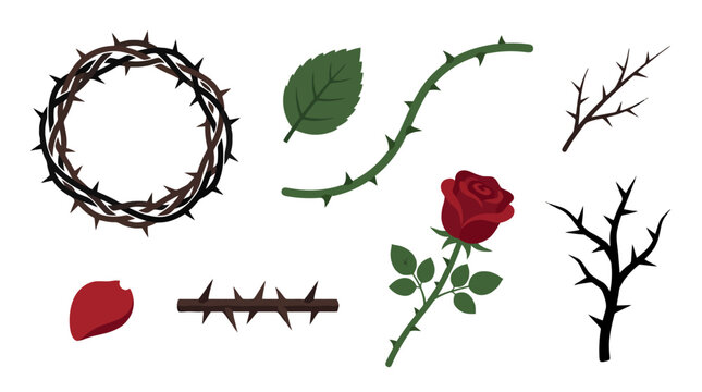 Set of thorny plant elements and red rose illustration.