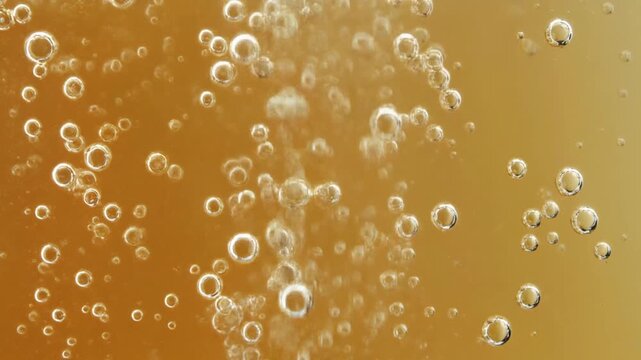 Golden champagne bubbles rising rapidly in a glass for this festive celebration motion video clip background