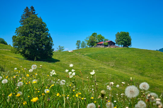 Picturesque Mountain Chapel in the Allgaeu Alps near Steibis, Bavaria, Germany